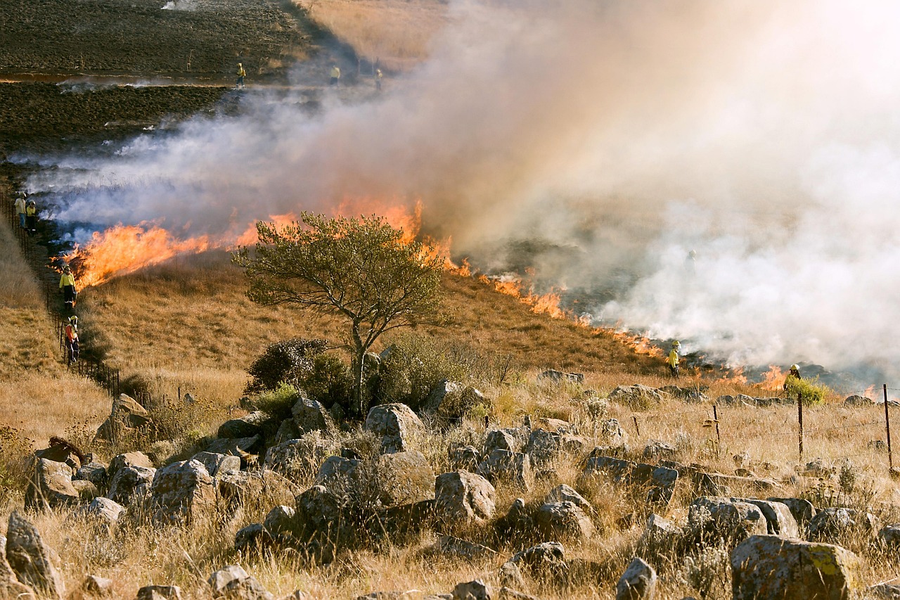 grass-fire-807388_1280.jpg grass-fire-807388_1280.jpg