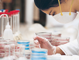 Filter Testing image