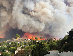 Wildfires