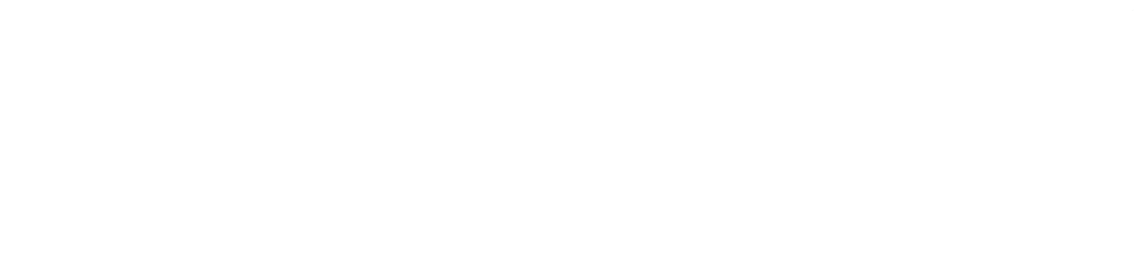 Casella Solutions logo